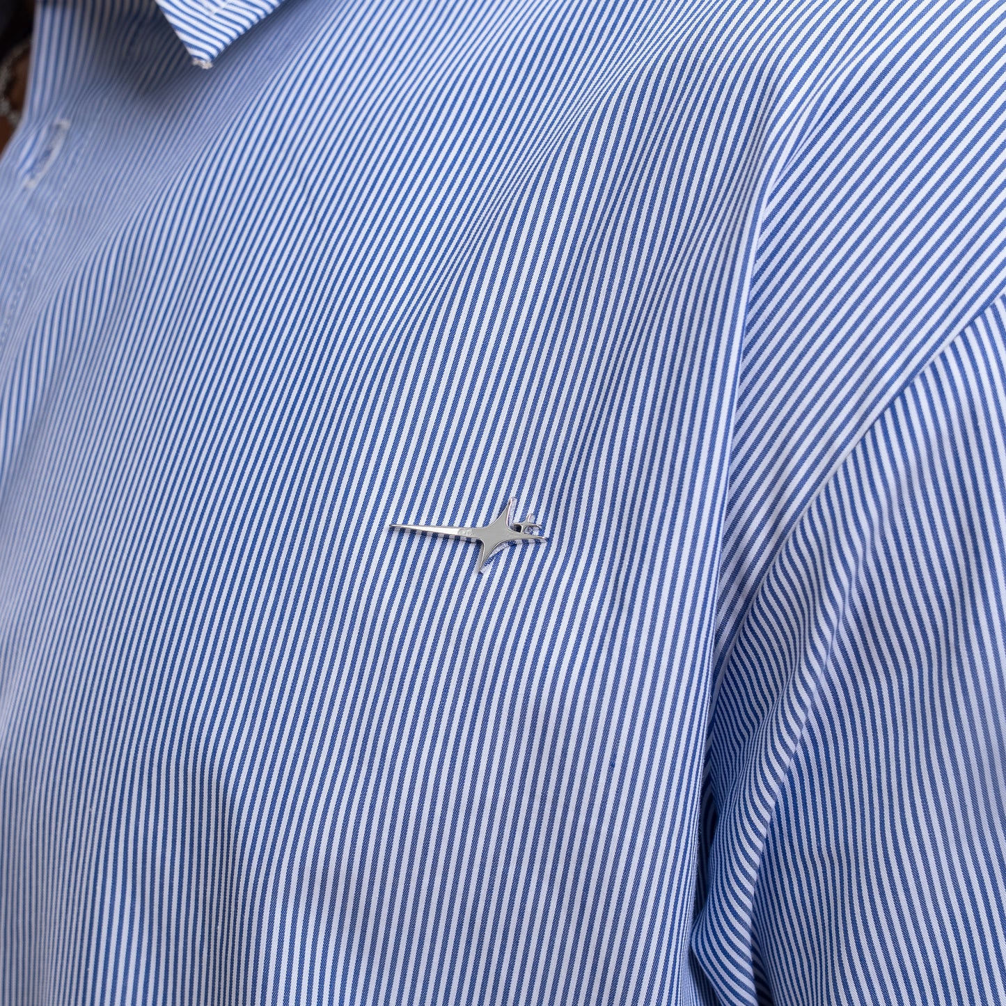 Striped Long-Sleeve Shirt - Blue & White