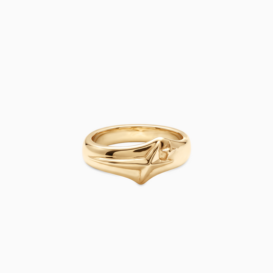 Signature ring V2 - Gold